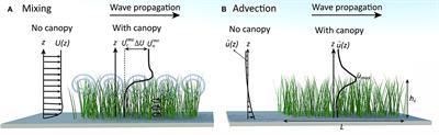 Material Residence Time in Marine Canopies Under Wave-Driven Flows